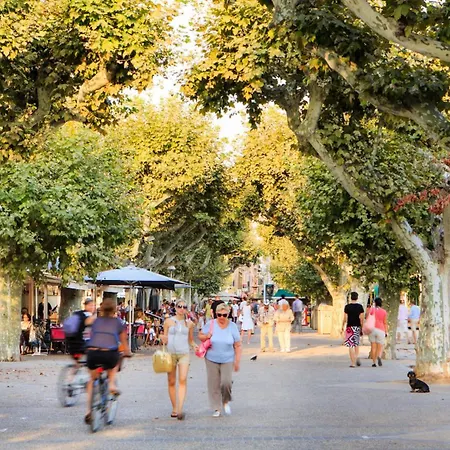 Aout 41 아파트 칸느